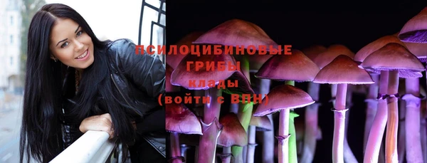 мдпв Бородино
