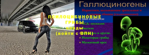 мдпв Бородино