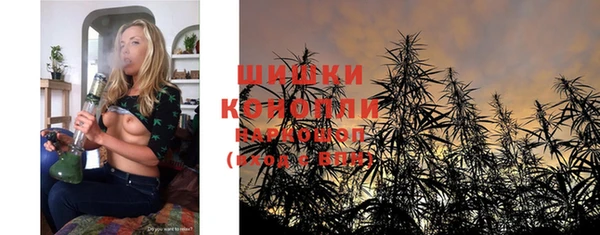 мдпв Бородино