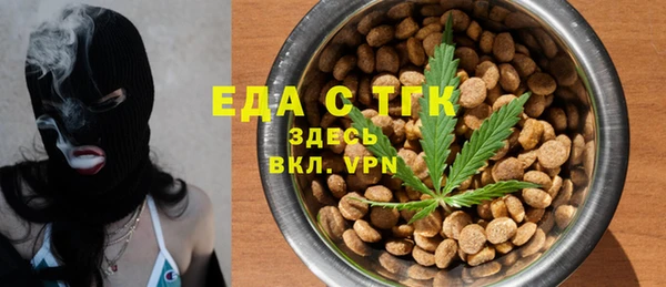 мдпв Бородино