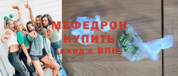 мдпв Бородино
