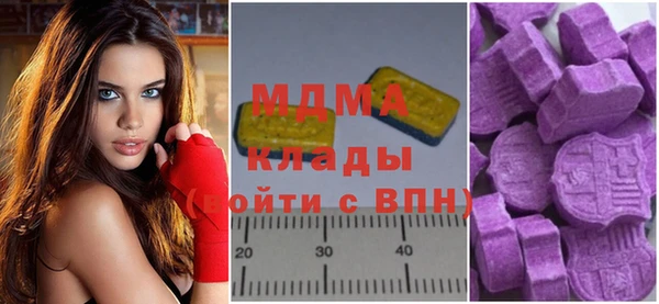 мдпв Бородино