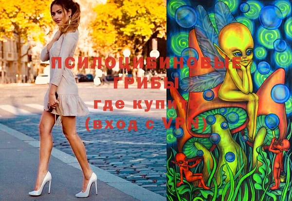 прущий лед Верея