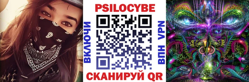 купить наркоту  Калачинск  Псилоцибиновые грибы Magic Shrooms 